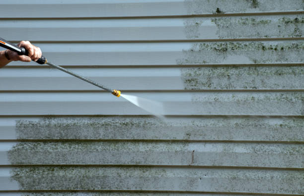 Office Mold Removal Services in Eustace, TX