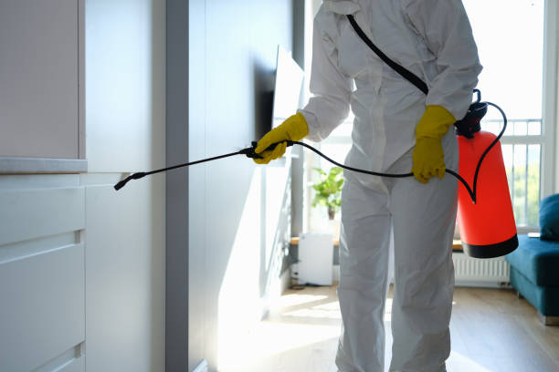 Best Office Mold Removal Services  in Eustace, TX