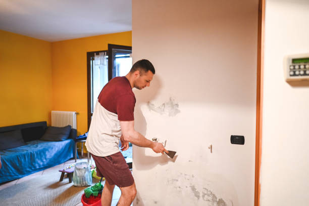 Best Mold Remediation Services  in Eustace, TX